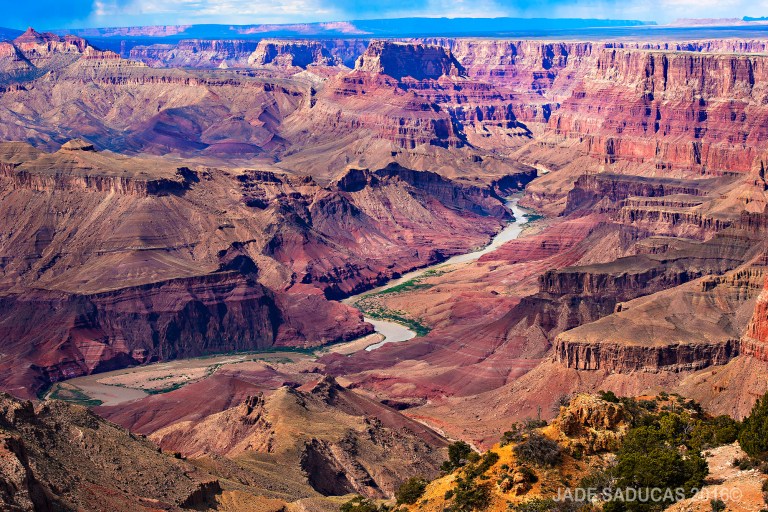GRAND CANYON_JADESADUCAS