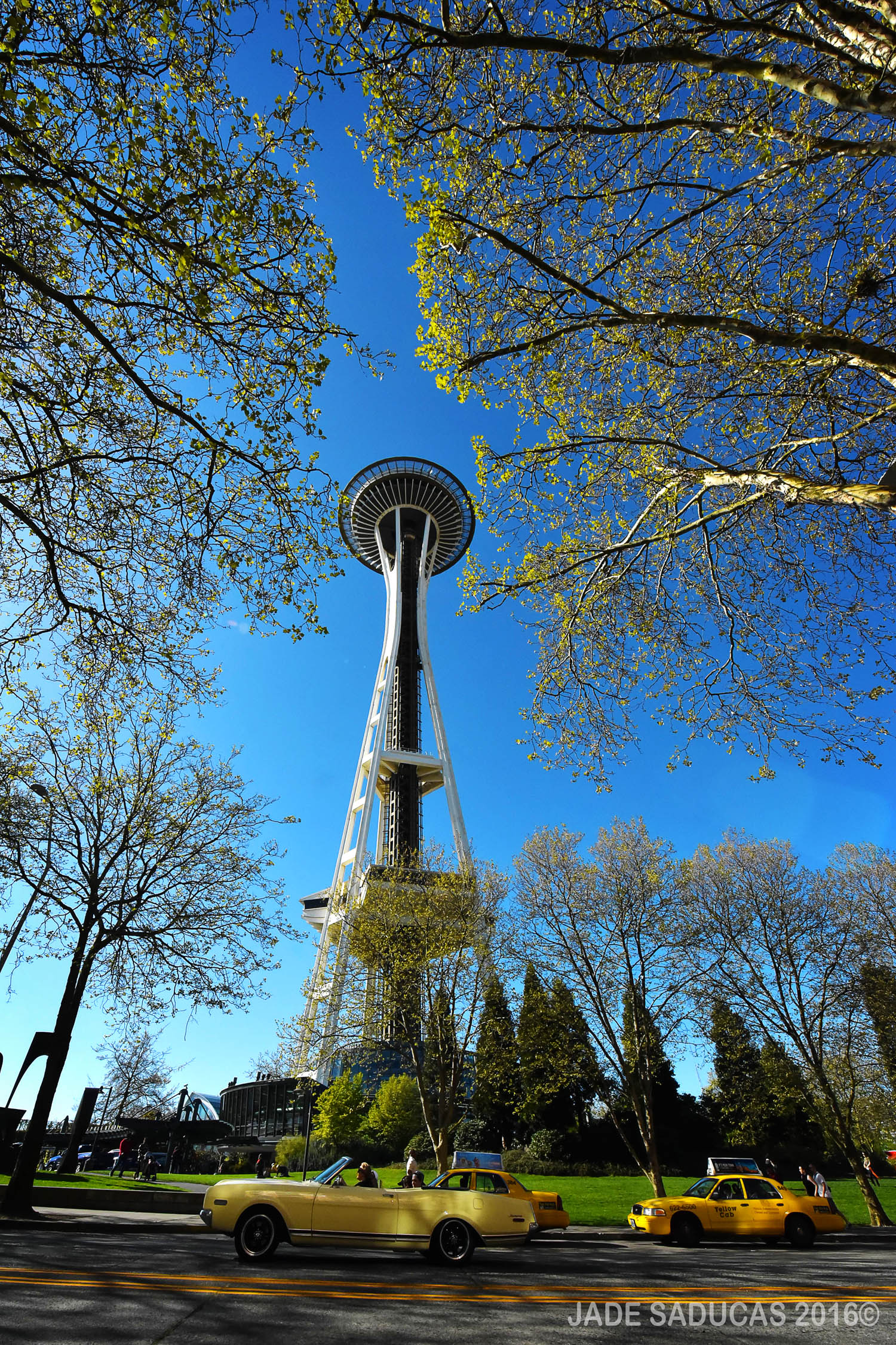 SPACENEEDLE_JADESADUCAS