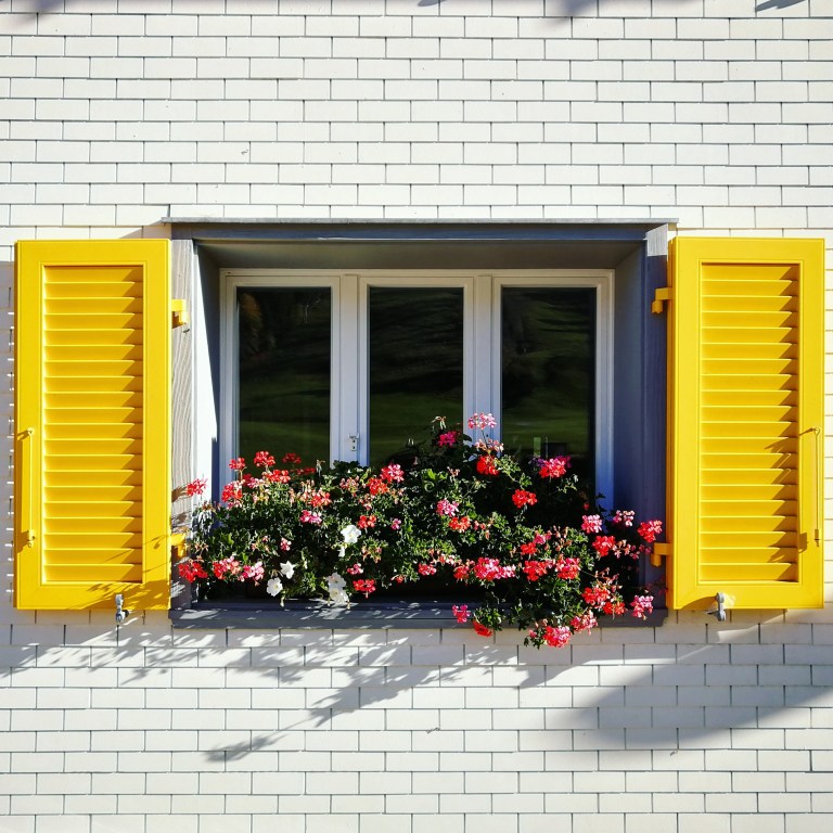 IMG_20171017_080750_975